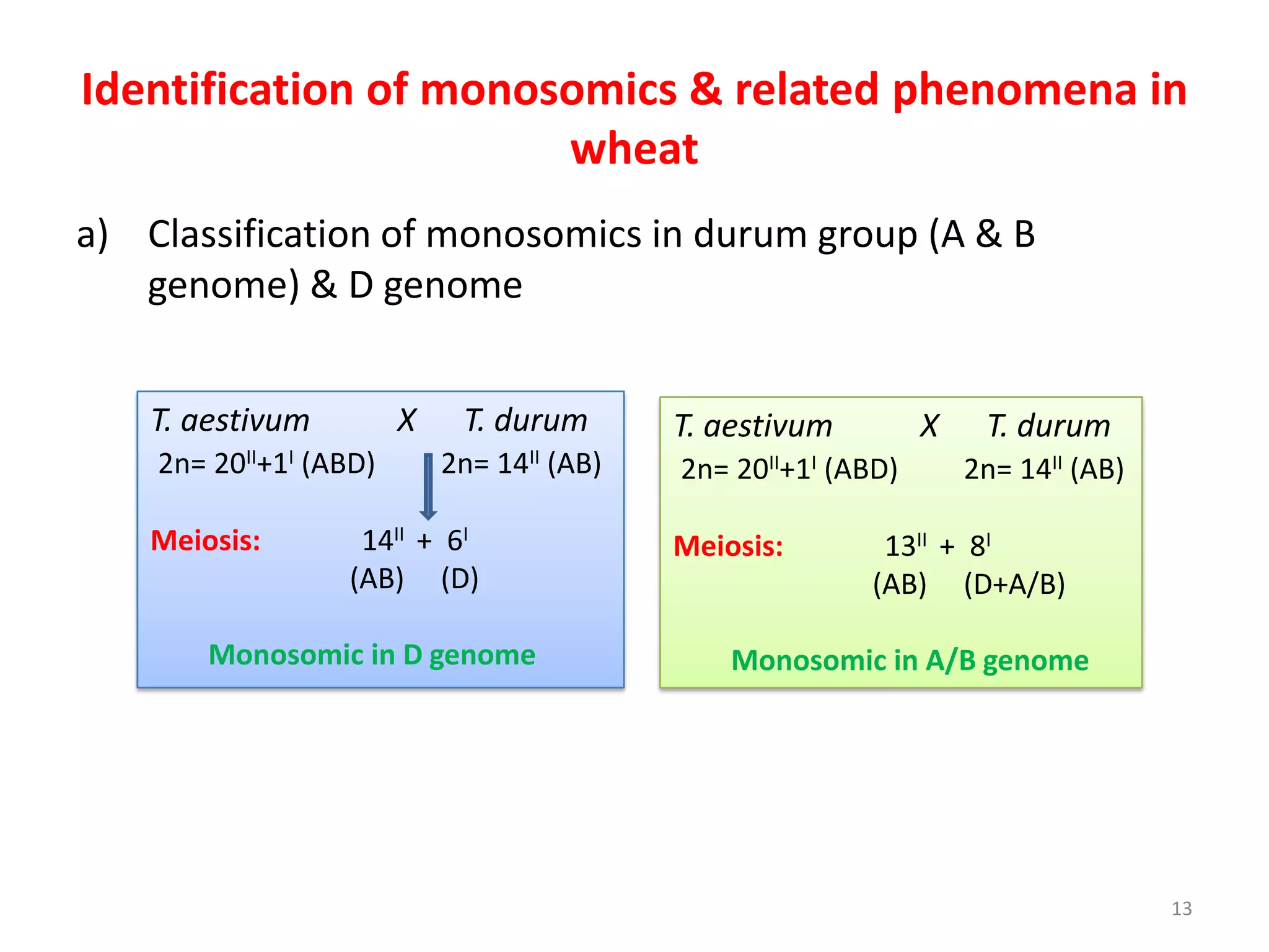 Identification of monosomics & related phenomena in
wheat
a) Classification of monosomics in durum group (A & B
genome) & D genome
T. aestivum X T. durum
2n= 20II+1I (ABD) 2n= 14II (AB)
Meiosis: 14II + 6I
(AB) (D)
Monosomic in D genome
T. aestivum X T. durum
2n= 20II+1I (ABD) 2n= 14II (AB)
Meiosis: 13II + 8I
(AB) (D+A/B)
Monosomic in A/B genome
13
 