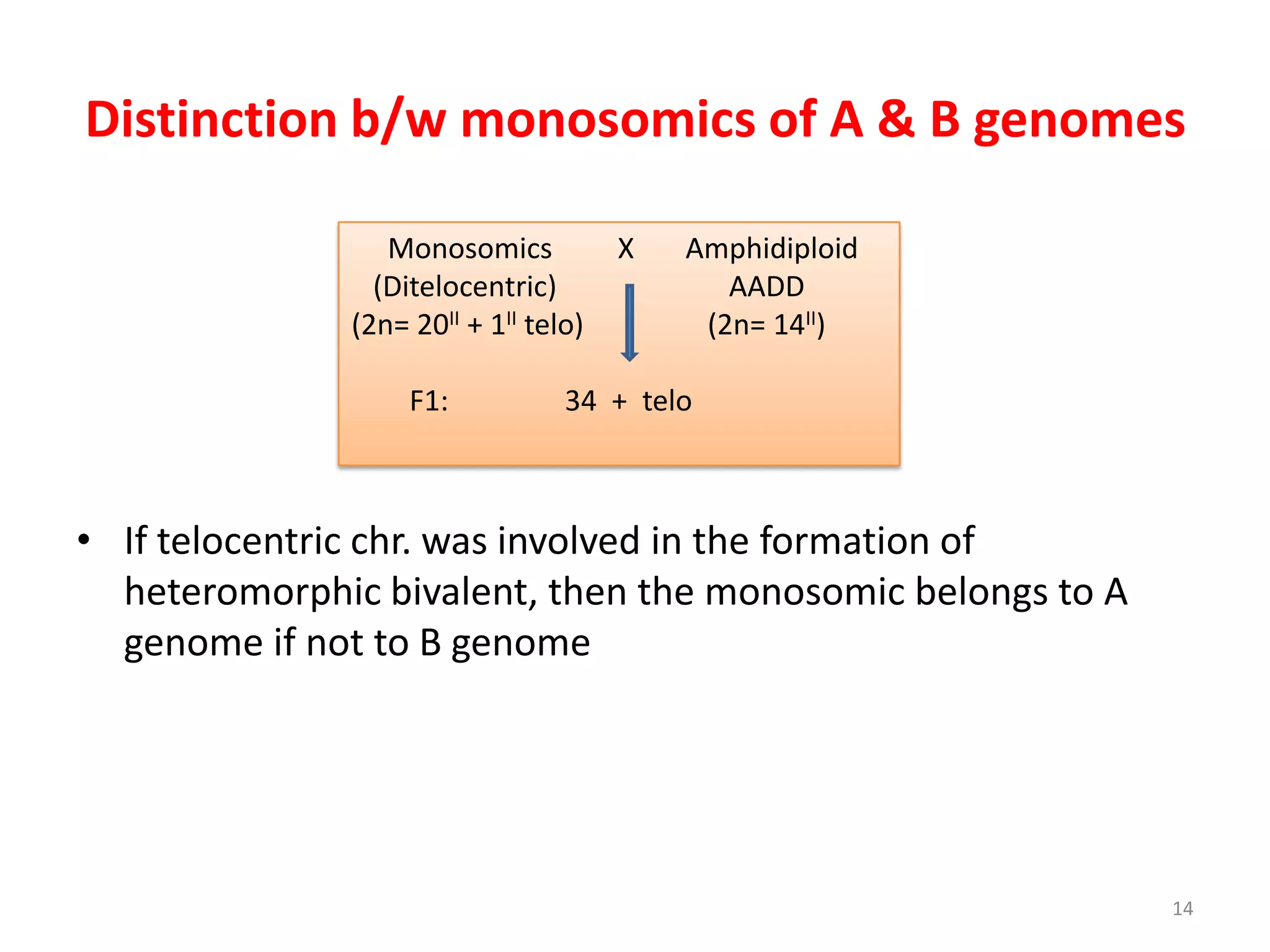 Distinction b/w monosomics of A & B genomes
• If telocentric chr. was involved in the formation of
heteromorphic bivalent, then the monosomic belongs to A
genome if not to B genome
Monosomics X Amphidiploid
(Ditelocentric) AADD
(2n= 20II + 1II telo) (2n= 14II)
F1: 34 + telo
14
 