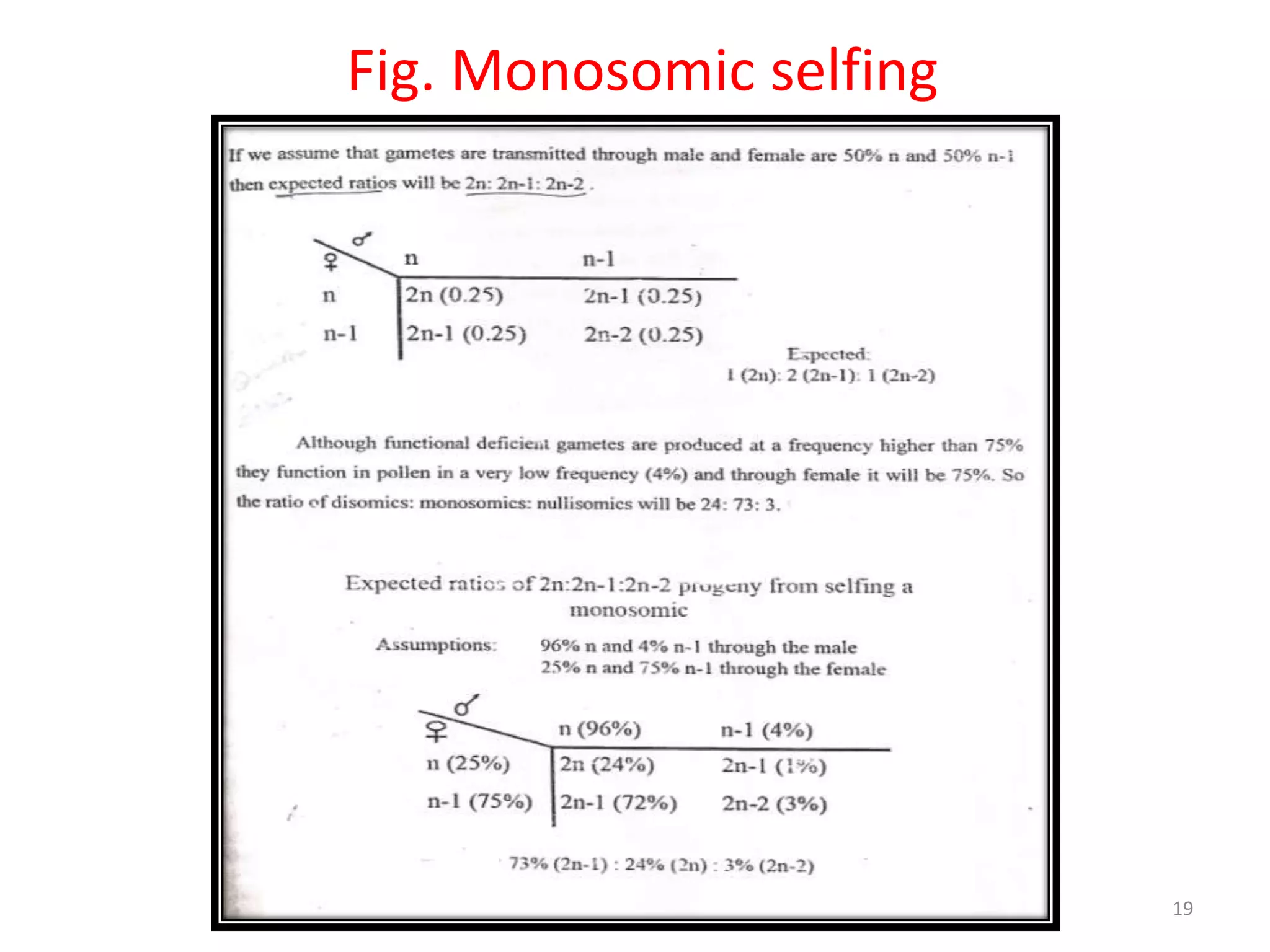 Fig. Monosomic selfing
19
 