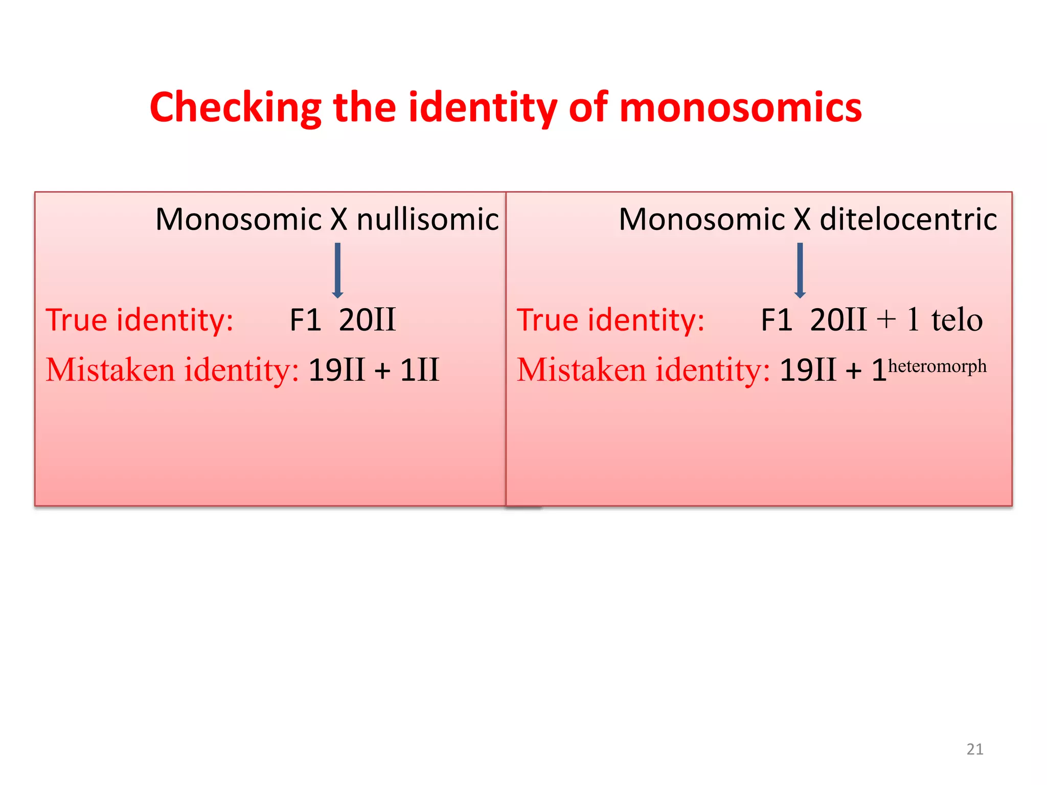 Checking the identity of monosomics
Monosomic X nullisomic
True identity: F1 20II
Mistaken identity: 19II + 1II
Monosomic X ditelocentric
True identity: F1 20II + 1 telo
Mistaken identity: 19II + 1heteromorph
21
 