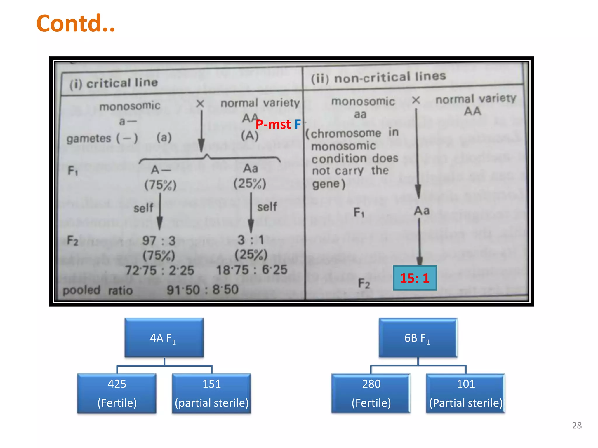 Contd..
28
P-mst F
15: 1
4A F1
425
(Fertile)
151
(partial sterile)
6B F1
280
(Fertile)
101
(Partial sterile)
 