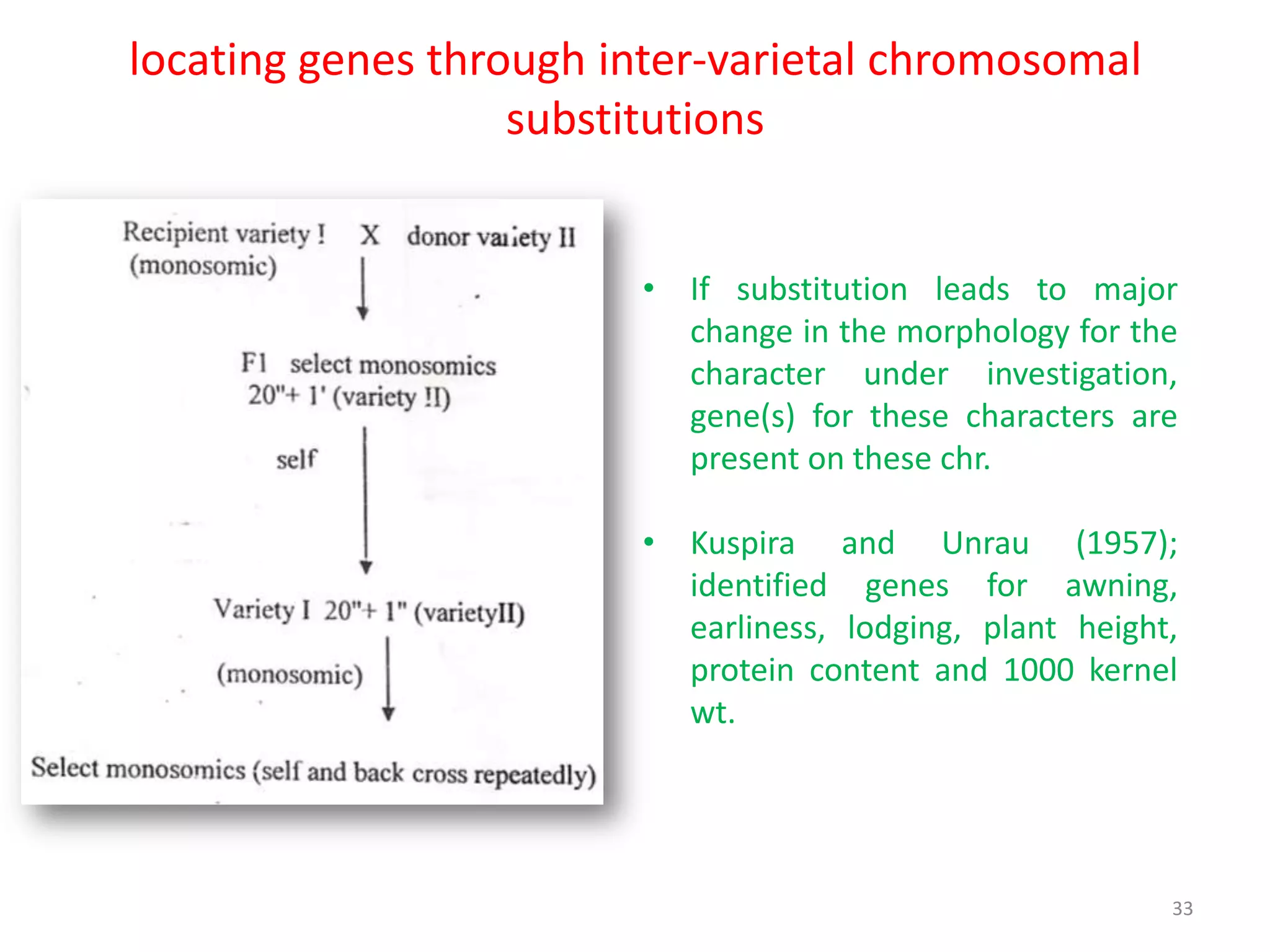 locating genes through inter-varietal chromosomal
substitutions
• If substitution leads to major
change in the morphology for the
character under investigation,
gene(s) for these characters are
present on these chr.
• Kuspira and Unrau (1957);
identified genes for awning,
earliness, lodging, plant height,
protein content and 1000 kernel
wt.
33
 