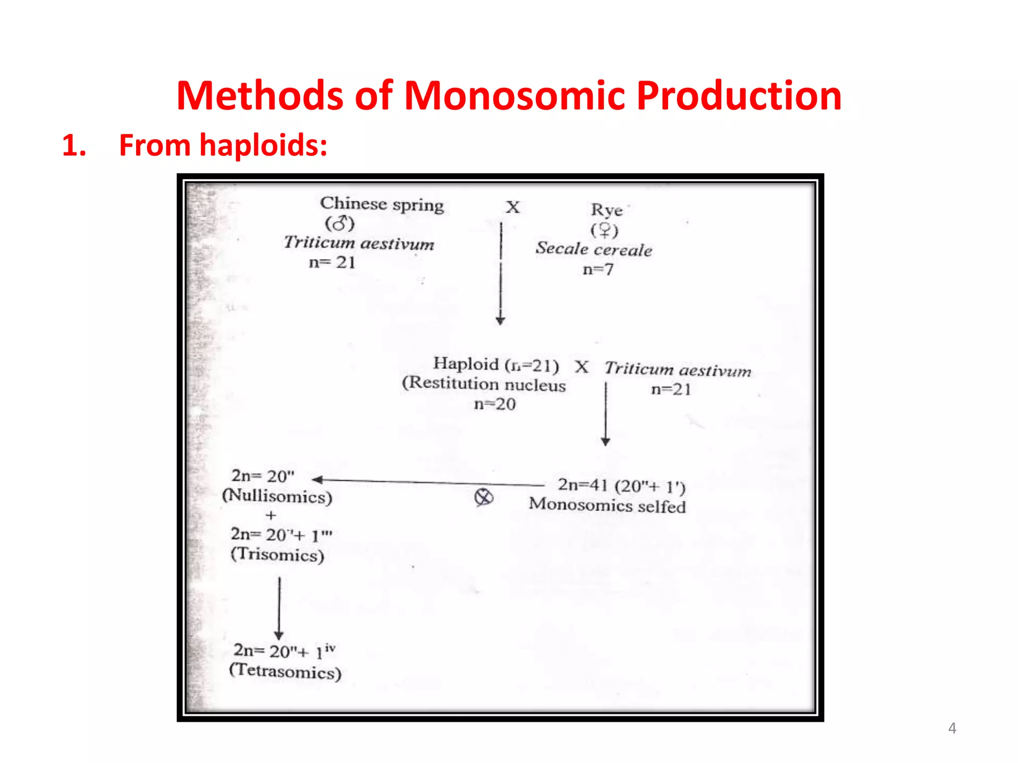 Methods of Monosomic Production
1. From haploids:
4
 