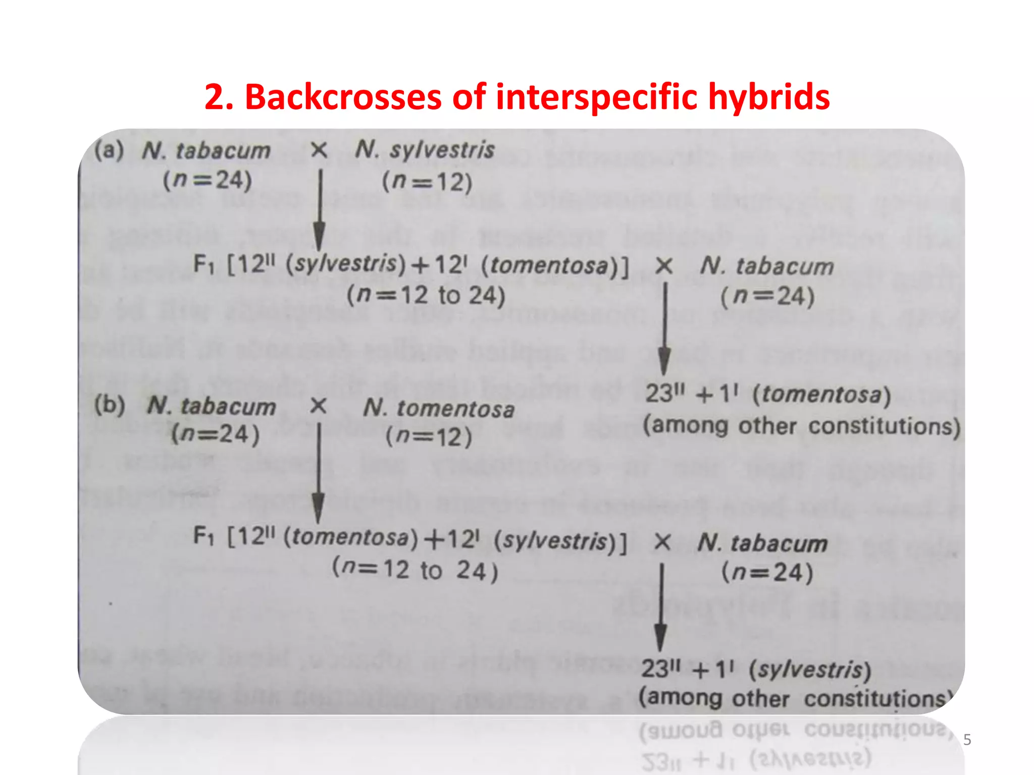 2. Backcrosses of interspecific hybrids
5
 