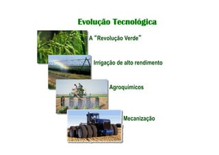 Evolução Tecnológica
A “Revolução Verde”
Irrigação de alto rendimento
Agroquímicos
Mecanização
 