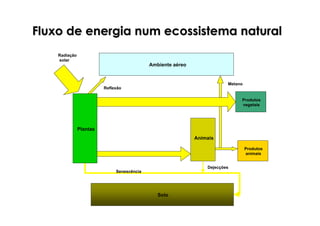 Fluxo de energia num ecossistema natural
Solo
Ambiente aéreo
Animais
Senescência
Produtos
vegetais
Produtos
animais
Plantas
Dejecções
Radiação
solar
Reflexão
Metano
 