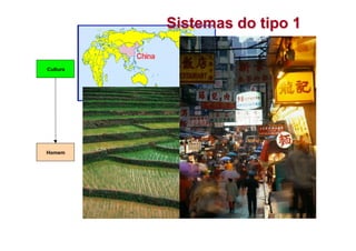Cultura
Homem
Sistemas do tipo 1
 