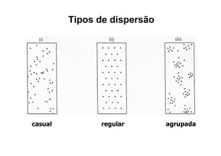 Tipos de dispersão
casual regular agrupada
 