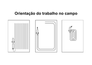 Orientação do trabalho no campo
 