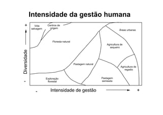 Floresta natural
Centros de
origem
Pastagem natural
Exploração
florestal
Pastagem
semeada
Agricultura de
sequeiro
Agricultura de
regadio
Áreas urbanas
Vida
selvagem
Intensidade de gestão- +
-
+Diversidade
Intensidade da gestão humana
 