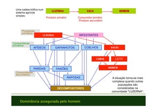 Dominância assegurada pelo homem
Produtores
primários
Consumidores
secundários
Consumidores
primários
A situação torna-se mais
complexa quando outras
populações são
consideradas na
comunidade LUZERNA:
LUZERNA INFESTANTES
AFÍDEOS GAFANHOTOS COELHOS
LEITE
FAISÕES
RAPOSAS
DECOMPOSITORES
HOMEMPARDAIS
CARNE
VACAS
LUZERNA VACA HOMEM
Produtor primário Consumidor primário
Produtor secundário
Uma cadeia trófica num
sistema agrícola
simples:
 