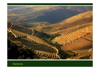 Harmonia
Texto
Texto
 