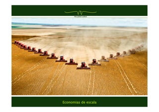 Economias de escala
 
