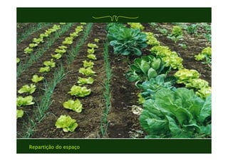 Repartição do espaço
 