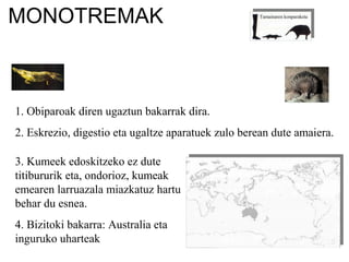 MONOTREMAK
1. Obiparoak diren ugaztun bakarrak dira.
2. Eskrezio, digestio eta ugaltze aparatuek zulo berean dute amaiera.
Tamainaren konparaketa
3. Kumeek edoskitzeko ez dute
titibururik eta, ondorioz, kumeak
emearen larruazala miazkatuz hartu
behar du esnea.
4. Bizitoki bakarra: Australia eta
inguruko uharteak
 