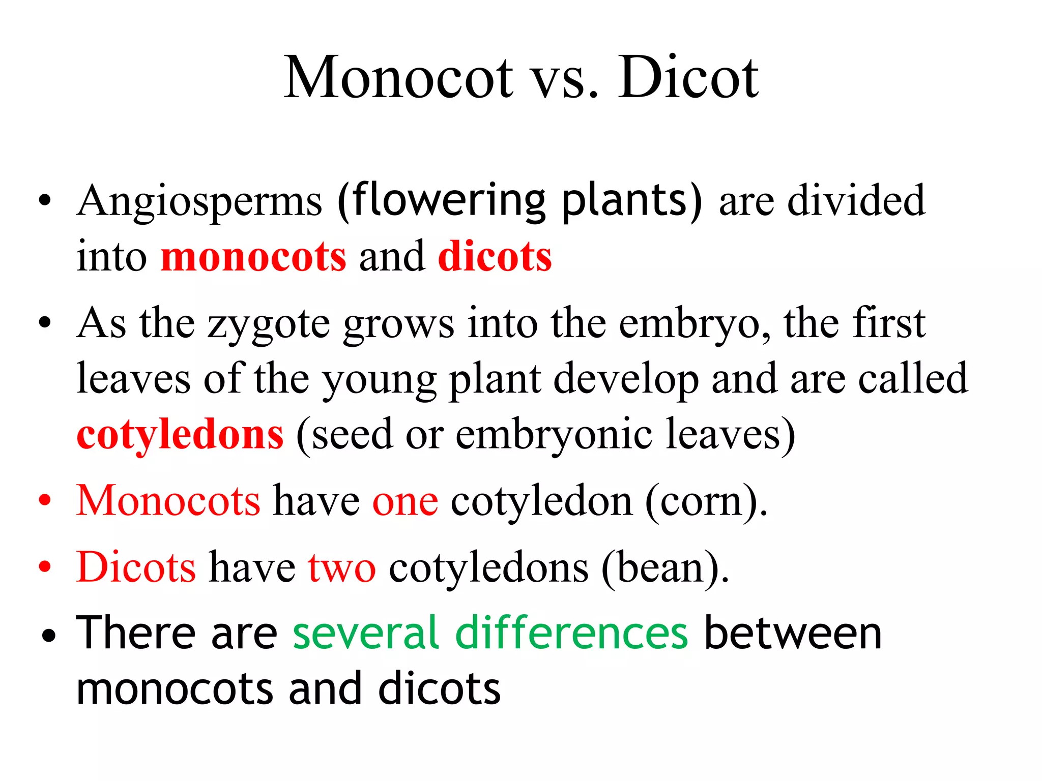 Monocotyledons vs dicotyledons 9 | PDF
