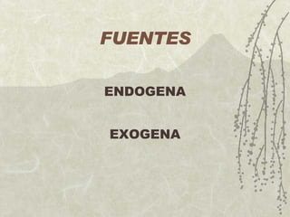 FUENTES ENDOGENA EXOGENA 