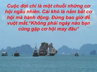 Cuộc đời chỉ là một chuỗi những cơ hội ngẫu nhiên.Cái khó là nắm bất cơ hội mà hành động. Đừng bao giờ để vuột mất.”Không phải ngày nào bạn cũng gặp cơ hội may đâu”
