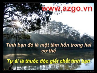 www.azgo.vnTình bạn đó là một tâm hồn trong hai cơ thểTự ái là thuốc độc giết chết tình bạn