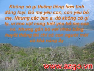 Không có gì thiêng liêng hơn tình đồng loại. Bố mẹ yêu con, con yêu bố mẹ. Nhưng các bạn ạ, đó không có gì lạ, vì con vật cũng biết yêu bố mẹ của nó. Nhưng gắn bó với nhau bằng huyết thống thì chỉ có con người mới có khả năng ấywww.azgo.vn