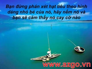 Bạn đừng phán xét hạt tiêu theo hình dáng nhỏ bé của nó, hãy nếm nó và bạn sẽ cảm thấy nó cay cỡ nàowww.azgo.vn
