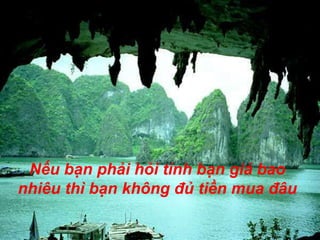 Nếu bạn phải hỏi tình bạn giá bao nhiêu thì bạn không đủ tiền mua đâu