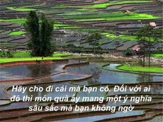 Hãy cho đi cái mà bạn có. Đối với ai đó thì món quà ấy mang một ý nghĩa sâu sắc mà bạn không ngờ