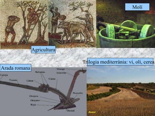 Arada romana
Molí
Trilogia mediterrània: vi, oli, cereal
Agricultura
 