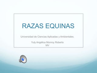 RAZAS EQUINAS
Universidad de Ciencias Aplicadas y Ambientales.
Yuly Angélica Monroy Roberto
MV
 