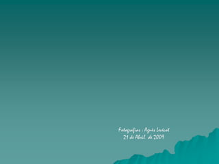 Fotografias : Agnès Levécot
  21 de Abril de 2009
 