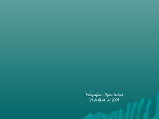 Fotografias : Agnès Levécot
21 de Abril de 2009
 