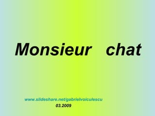 Monsieur  chat www.slideshare.net/gabrielvoiculescu 03.2009 