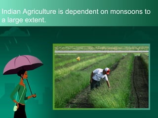 Indian Agriculture is dependent on monsoons to
a large extent.

 