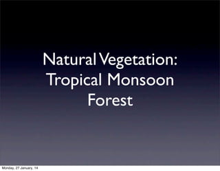 Natural Vegetation:
Tropical Monsoon
Forest

Monday, 27 January, 14

 