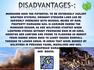 Monsoons have the potential to be extremely violent
weather systems. Drought-stricken land can be
suddenly drenched with several inches of rain.
Property-damaging hail is common during the
monsoon season, as are wildfires started when
lightning strikes without producing rain in an area.
Arroyos and canyons are prone to flooding as runoff
from higher areas rush to carry excess rainfall
through to lower areas. In areas that were burned by
wildfires in previous years, mudslides and soil
erosion can cause widespread damage to crops, homes
and roads.

 