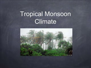Tropical Monsoon
Climate
 