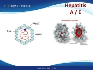 Hepatitis
  A/E
 