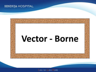 Vector - Borne
 