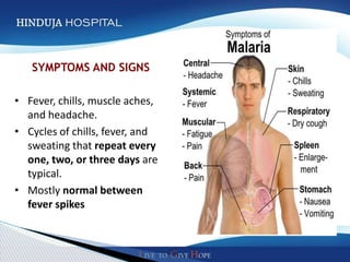 SYMPTOMS AND SIGNS               Click to edit Master
                                     text styles
• Fever, chills, muscle aches,   ◦ Second level
  and headache.                   Third level
                                  Fourth level
• Cycles of chills, fever, and
                                  Fifth level
  sweating that repeat every
  one, two, or three days are
  typical.
• Mostly normal between
  fever spikes
 