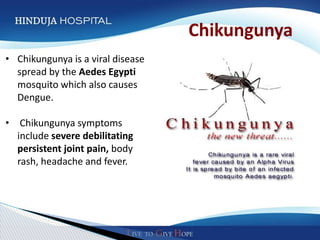 Chikungunya
• Chikungunya is a viral disease      Click to edit Master
  spread by the Aedes Egypti           text styles
  mosquito which also causes
                                   ◦ Second level
  Dengue.
                                    Third level
                                    Fourth level
• Chikungunya symptoms              Fifth level
  include severe debilitating
  persistent joint pain, body
  rash, headache and fever.
 