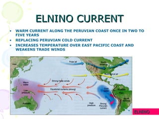 ELNINO CURRENT
•
•
•

WARM CURRENT ALONG THE PERUVIAN COAST ONCE IN TWO TO
FIVE YEARS
REPLACING PERUVIAN COLD CURRENT
INCR...
