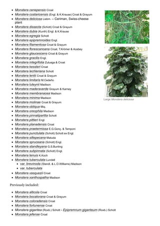 Monstera wikipedia | PDF