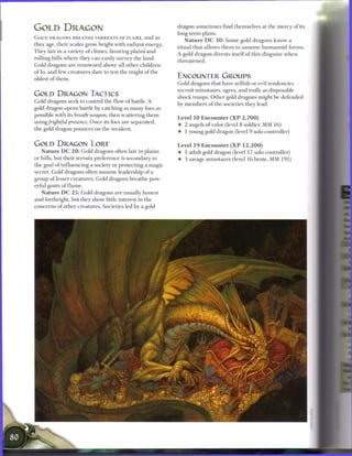 GOLD DRAGON                                                      dragon sometimes find themselves at the m e r c y o f its
                                                                 long-term plans.
G O L D DRAGONS B R E A T H E TORRENTS OF F L A M E , and   as
                                                                    N a t u r e D C 3 0 : S o m e gold dragons k n o w a
they age, their scales grow bright with radiant energy.
                                                                 ritual that allows t h e m to a s s u m e h u m a n o i d forms.
T h e y lair in a variety o f climes, favoring plains and
                                                                 A gold dragon divests itself o f this disguise w h e n
rolling hills where they c a n easily survey the land.
                                                                 threatened.
Gold dragons are renowned above all other children
o f Io, and few creatures dare to test the might o f the
oldest o f t h e m .
                                                                 ENCOUNTER GROUPS
                                                                 Gold dragons that have selfish or evil tendencies
                                                                 recruit minotaurs, ogres, and trolls as disposable
GOLD DRAGON TACTICS                                              shock troops. O t h e r gold dragons might b e defended
Gold dragons seek to control the flow o f battle. A
                                                                 by m e m b e r s o f the societies they lead.
gold dragon opens battle by catching as m a n y foes as
possible with its breath weapon, then scattering t h e m
                                                                 Level 1 0 E n c o u n t e r ( X P 2 , 7 0 0 )
using/rightful presence. O n c e its foes are separated,
                                                                 • 2 angels o f valor (level 8 soldier, MM 16)
the gold dragon pounces on the weakest.
                                                                 • 1 young gold dragon (level 9 solo controller)

GOLD DRAGON LORE                                                 Level 1 9 E n c o u n t e r ( X P 1 2 , 2 0 0 )
   N a t u r e D C 2 0 : Gold dragons often lair in plains       • 1 adult gold dragon (level 17 solo controller)
or hills, but their terrain preference is secondary to           • 3 savage minotaurs (level 1 6 brute, MM 191)
the goal of influencing a society or protecting a magic
secret. Gold dragons often assume leadership o f a
group o f lesser creatures. Gold dragons breathe pow-
erful gouts o f f l a m e .
   N a t u r e D C 2 5 : Gold dragons are usually honest
and forthright, but they show little interest in the
concerns o f other creatures. Societies led by a gold
 