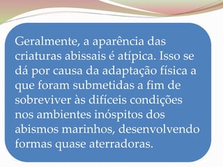 Geralmente, a aparência das
criaturas abissais é atípica. Isso se
dá por causa da adaptação física a
que foram submetidas a fim de
sobreviver às difíceis condições
nos ambientes inóspitos dos
abismos marinhos, desenvolvendo
formas quase aterradoras.
 