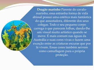 Dragão marinho Parente do cavalo-
marinho, essa estranha forma de vida
abissal possui uma estética mais fantástica
do que assustadora, diferente dos seus
colegas. Todo o seu pequeno corpo
carrega o que parecem folhas, dando-lhe
um visual muito artístico quando se
move. É mais comum nas águas da
Austrália e suas cores vivas o fazem uma
exceção entre as criaturas escuras que por
lá vivem. Essas cores também servem
como camuflagem para a própria
proteção.
 