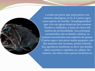 e existe um peixe que mais parece um
monstro alienígena, ei-lo. É o peixe ogro,
uma espécie da família “Anoplogastridae”
que vive em águas tropicais dos oceanos
Pacífico e Atlântico, a mais de cinco mil
metros de profundidade. Sua principal
característica são os dentes caninos, os
maiores encontrados nas espécies de peixes.
O peixe ogro é um peixe muito pequeno, um
dos menores dos oceanos, porém robusto.
Sua aparência tenebrosa se deve aos dentes,
olhos enormes e espinhos na cabeça. No
entanto, são tidos como peixes inofensivos.
 