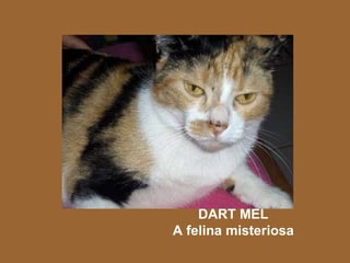 DART MEL A felina misteriosa 