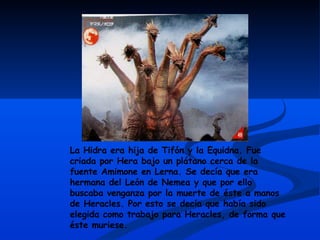 La Hidra era hija de Tifón y la Equidna. Fue criada por Hera bajo un plátano cerca de la fuente Amimone en Lerna. Se decía que era hermana del León de Nemea y que por ello buscaba venganza por la muerte de éste a manos de Heracles. Por esto se decía que había sido elegida como trabajo para Heracles, de forma que éste muriese.  