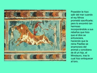 Poseidón le hizo salir del mar cuando el rey Minos prometió sacrificarle; pero lo encontró tan hermoso incorporándole a sus rebaños que hizo que el dios se enfureciera, haciendo que la reina Pasifae se enamorara del animal y concibiera de él un hijo, el Minotauro, tras lo cual hizo enloquecer al toro. 
