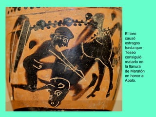 El toro causó estragos hasta que Teseo consiguió matarlo en la llanura de Maratón en honor a Apolo. 
